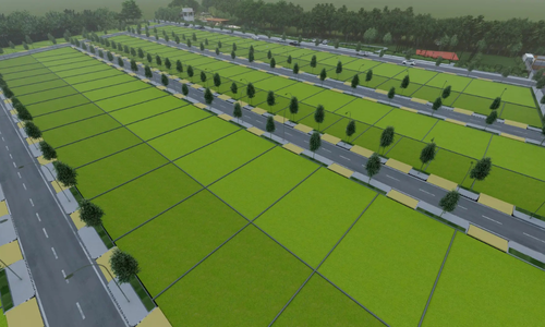 Layout 1