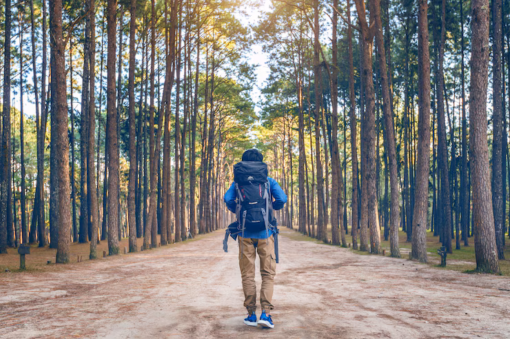 Walking Trail